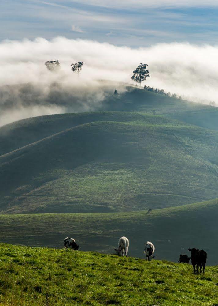 煤溪汽车旅馆 Korumburra 外观 照片